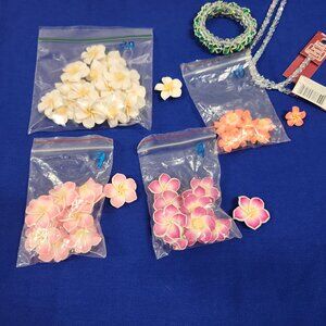 A lot of 4 assorted colors Plumeria Ruba Flowers